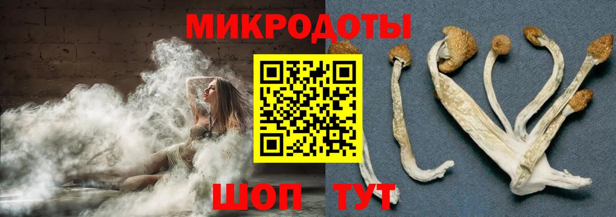 Псилоцибиновые грибы Magic Shrooms  Галлюциногенные грибы мицелий  Вход с VPN  Кимовск 